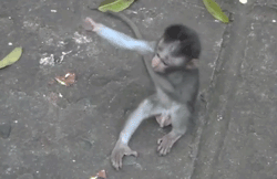Credit: www.reactiongifs.com 
