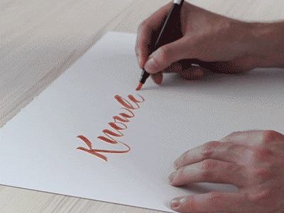Credit: dribbble.com 