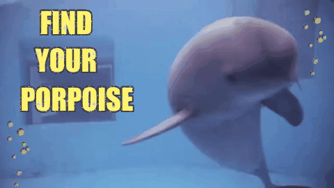 Credit: Chuber Channel vimeo.com (via giphy.com)