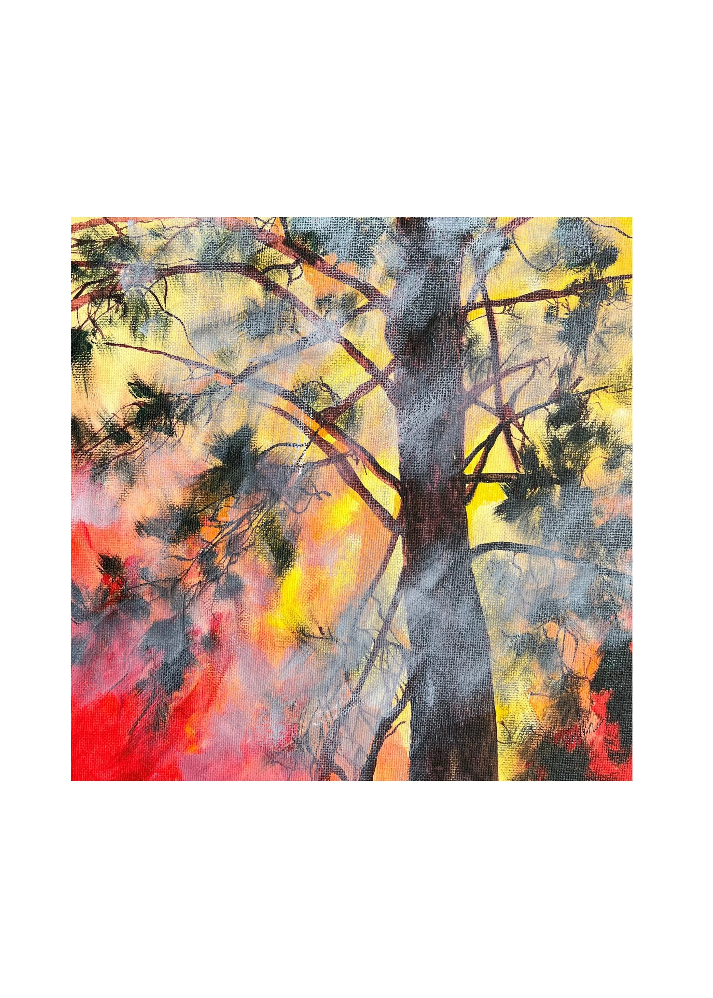 41.3_Ponderosa+Pine+Burning,+acrylic,+12W+x+12H,+June+2022,+$600.jpg