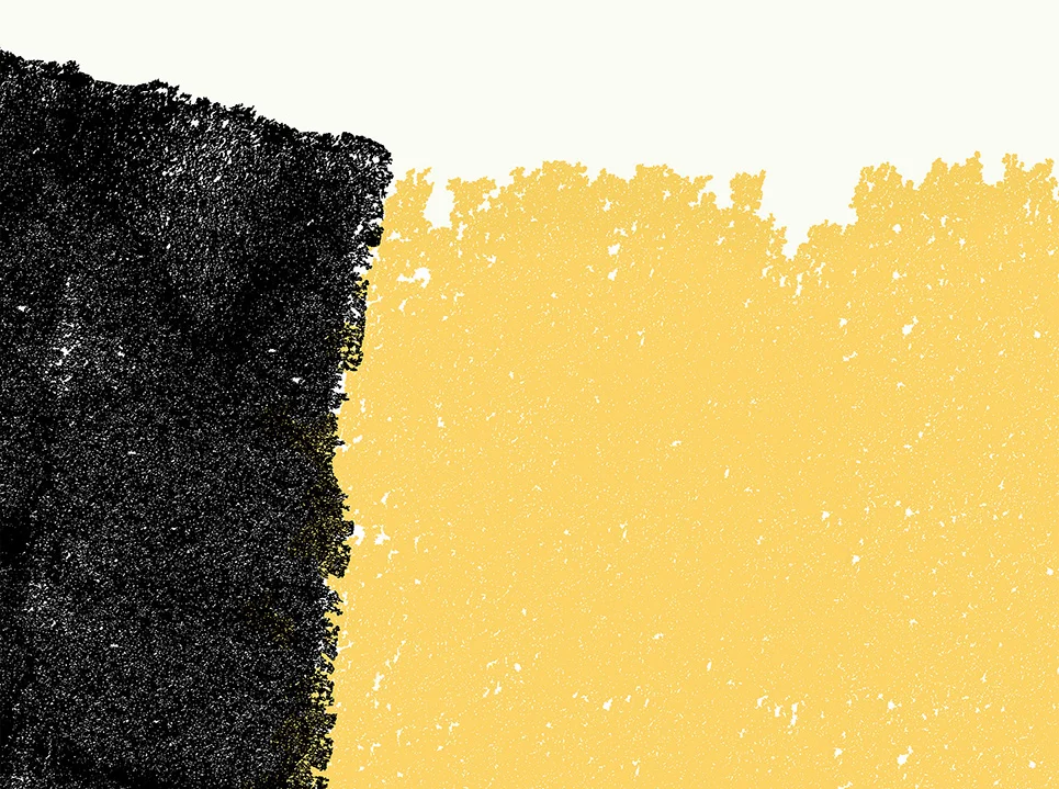 yellow clutch website.jpg