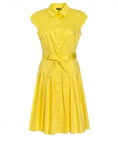 jaeger-pleated-shirt-dress-wpcf_400x500.jpg