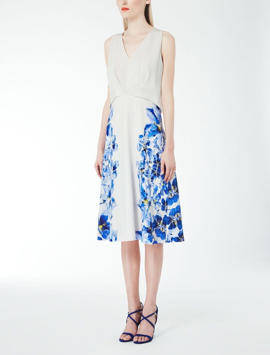 Max Mara Leandro Dress.jpg