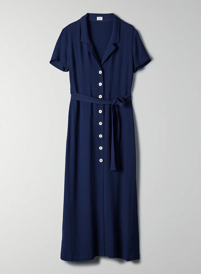 Wilfred Button-Front Midi Dress in Indigo