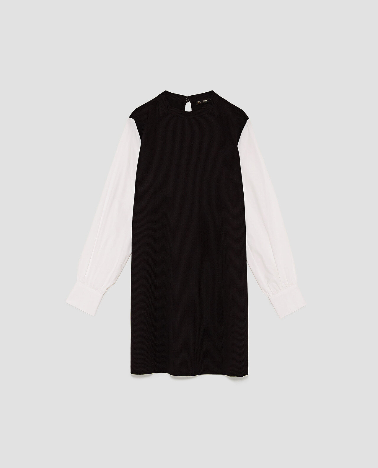 Zara Dress with Contrasting Sleeves.jpg