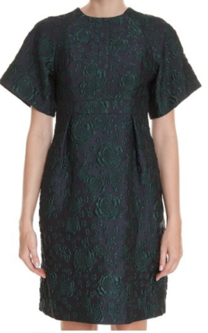 Erdem Cliona Rose Brocade Dress