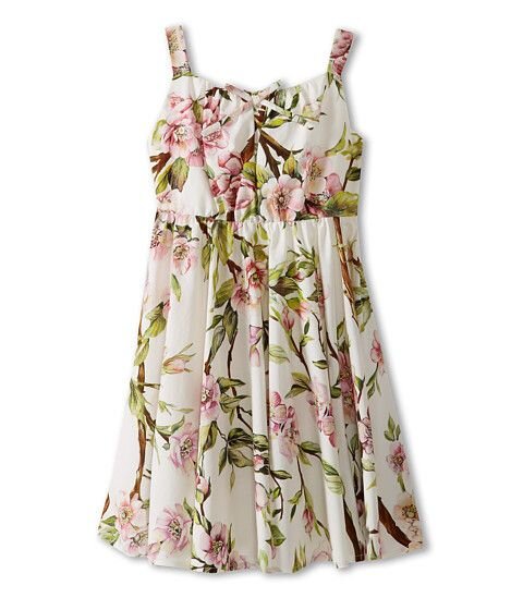 Dolce & Gabbana Poplin Rosehip Print Dress.jpg