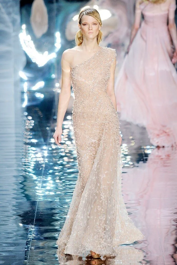 Elie Saab Resort 2013 Silver Beaded Gown  UFO No More