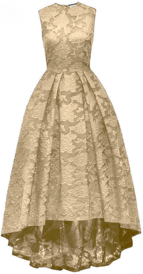 HM Beige Gown.png