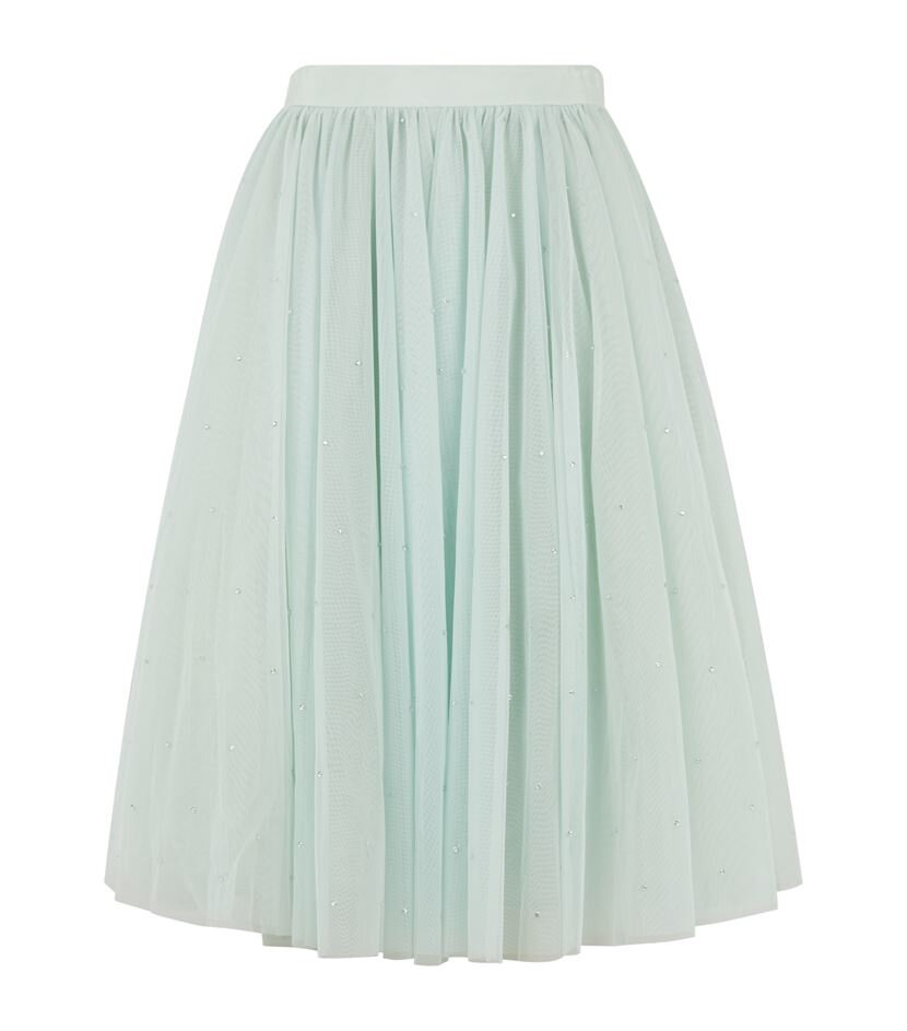 Ted Baker Odella Netted Tutu Skirt in Pale Green.jpg