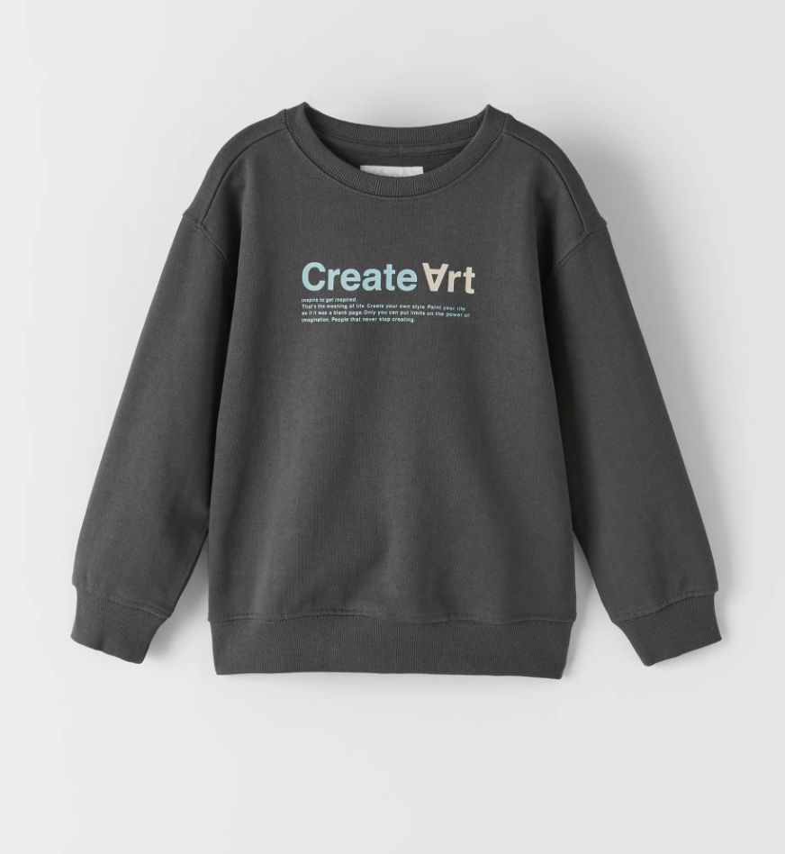 Zara Printed Sweatshirt