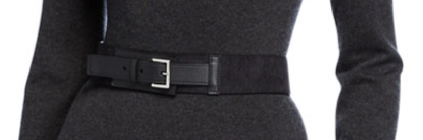 Loro Piana Wide Suede & Leather Belt in Burgundy