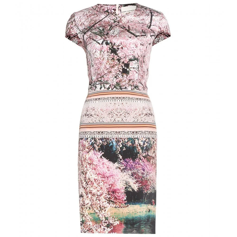 Mary Katrantzou Silver Lake Printed Silk Dress
