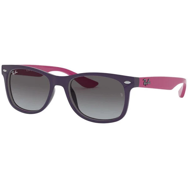 Ray-Ban Wayfarer Sunglasses in Violet/Purple Reddish