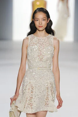 Elie Saab Lace Mini Dress