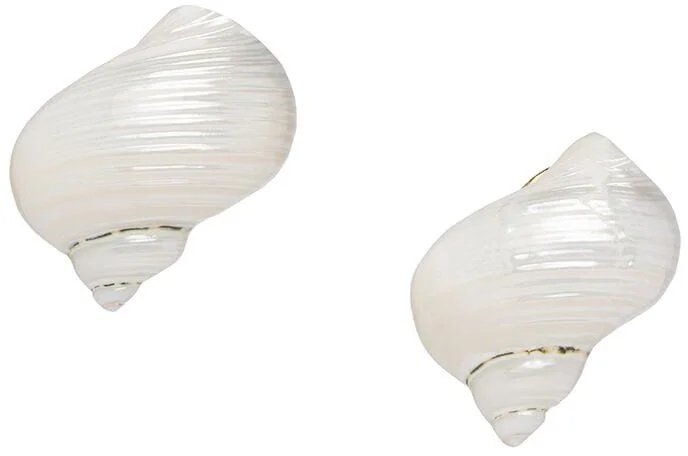 Prada Shell Details Earrings in White