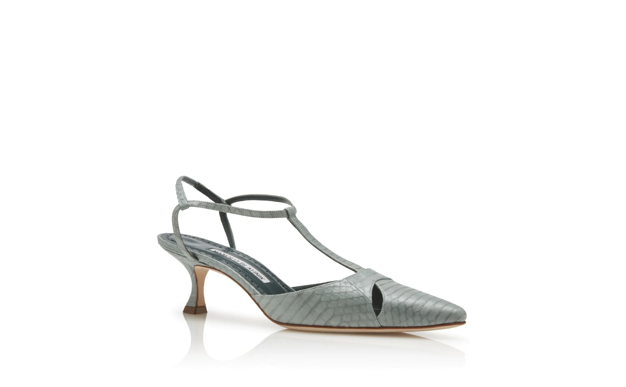 Manolo Blahnik Turgimod 50 Pumps in Light Green