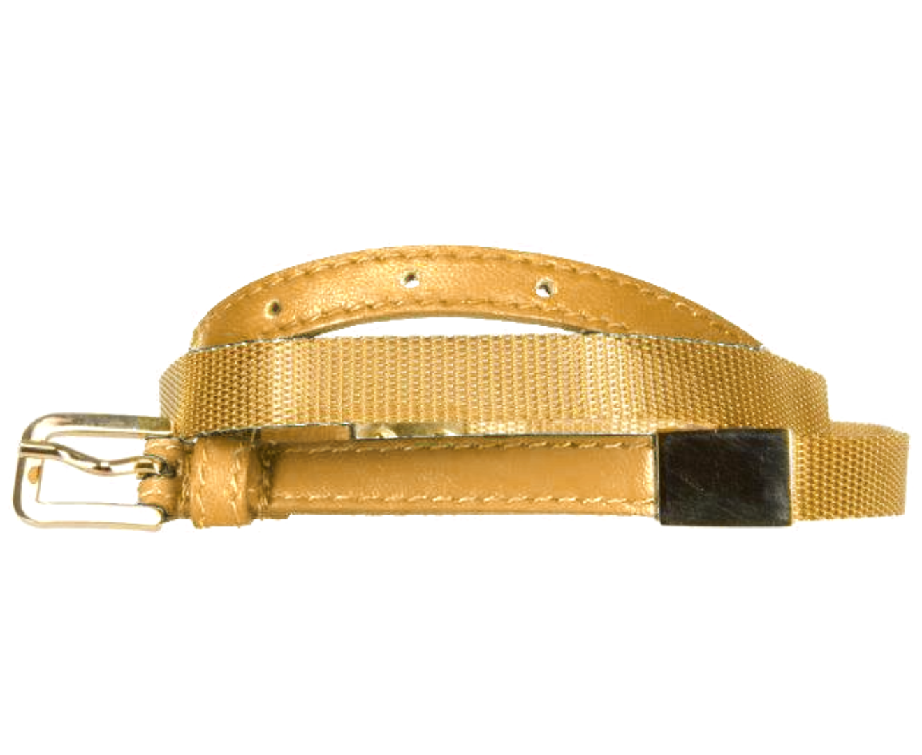Elie Saab Skinny Metal Belt in Gold
