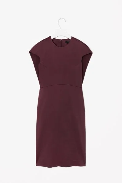 COS Fitted Waist Dress