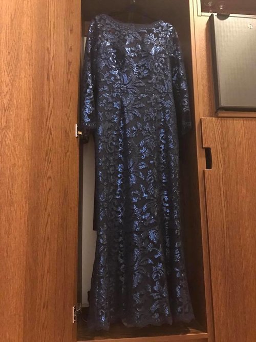 Camilla Thulin Sequin Lace Gown in Navy