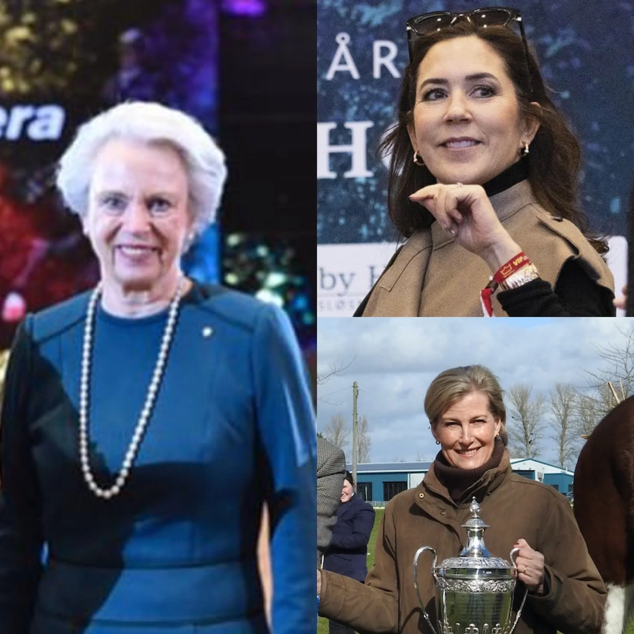 The Countess of Wessex, Crown Princess Mary, and Princess Benedikte attend horse shows