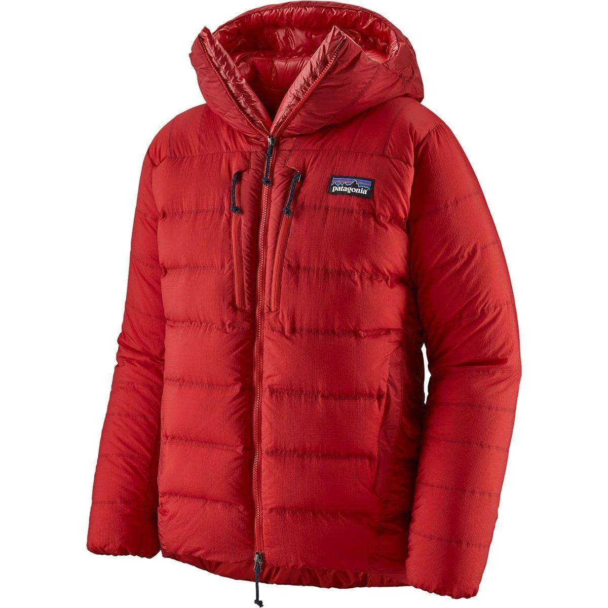 Patagonia Grade VII Down Parka in Red