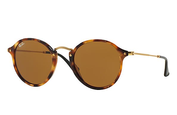 Ray-Ban RB2447 Sunglasses in Polished Tortoise; Gold Brown Classic B-15.jpg