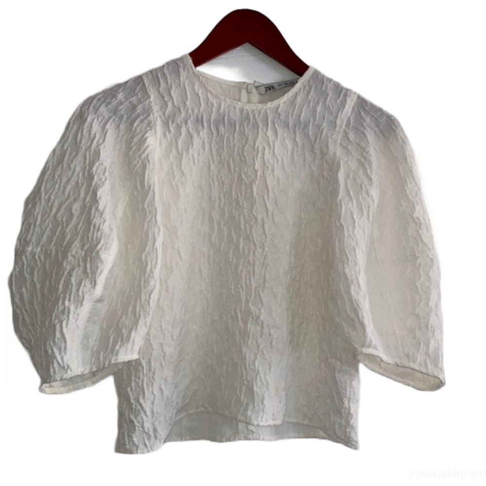 Zara Embroidered Puff-Sleeve Blouse — UFO No More