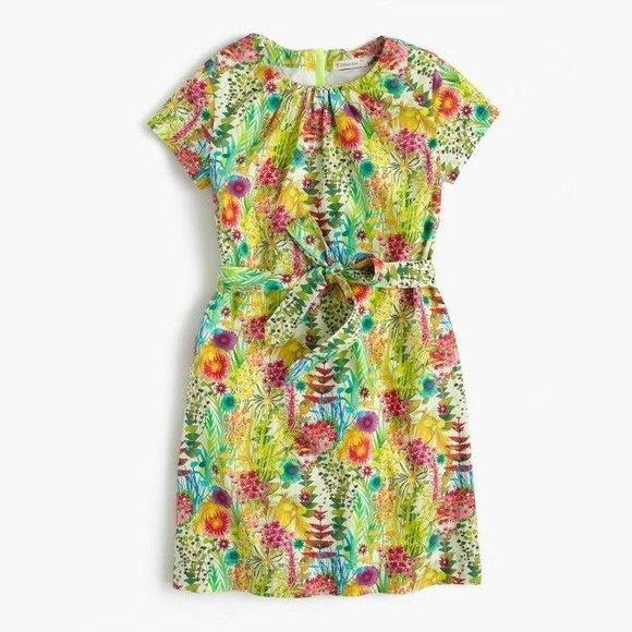 Crewcuts by J. Crew Tresco Liberty Dress.jpg