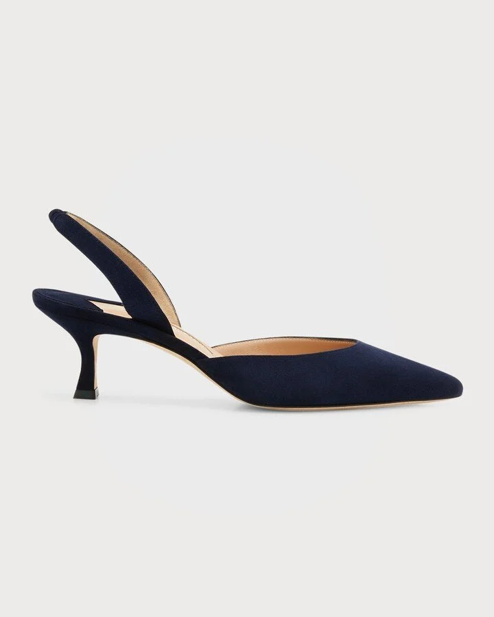 Manolo Blahnik Carolyne 50 Pumps in Navy Suede
