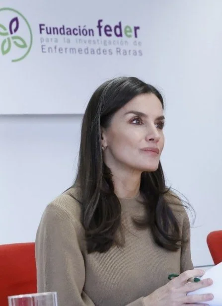 Queen Letizia attends working meeting with the Spanish Federation of Rare Diseases