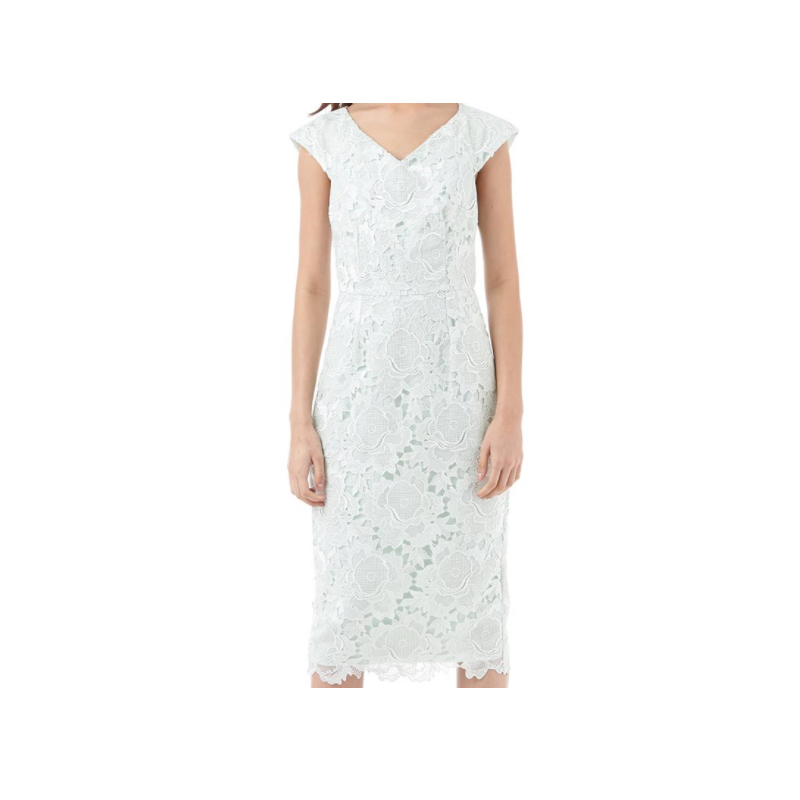 Ted Baker Velmia Fitted Lace Dress — UFO No More