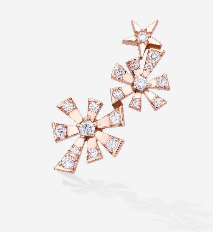 Louis Vuitton Asymmetrical Logo and Floral Blooming Earrings