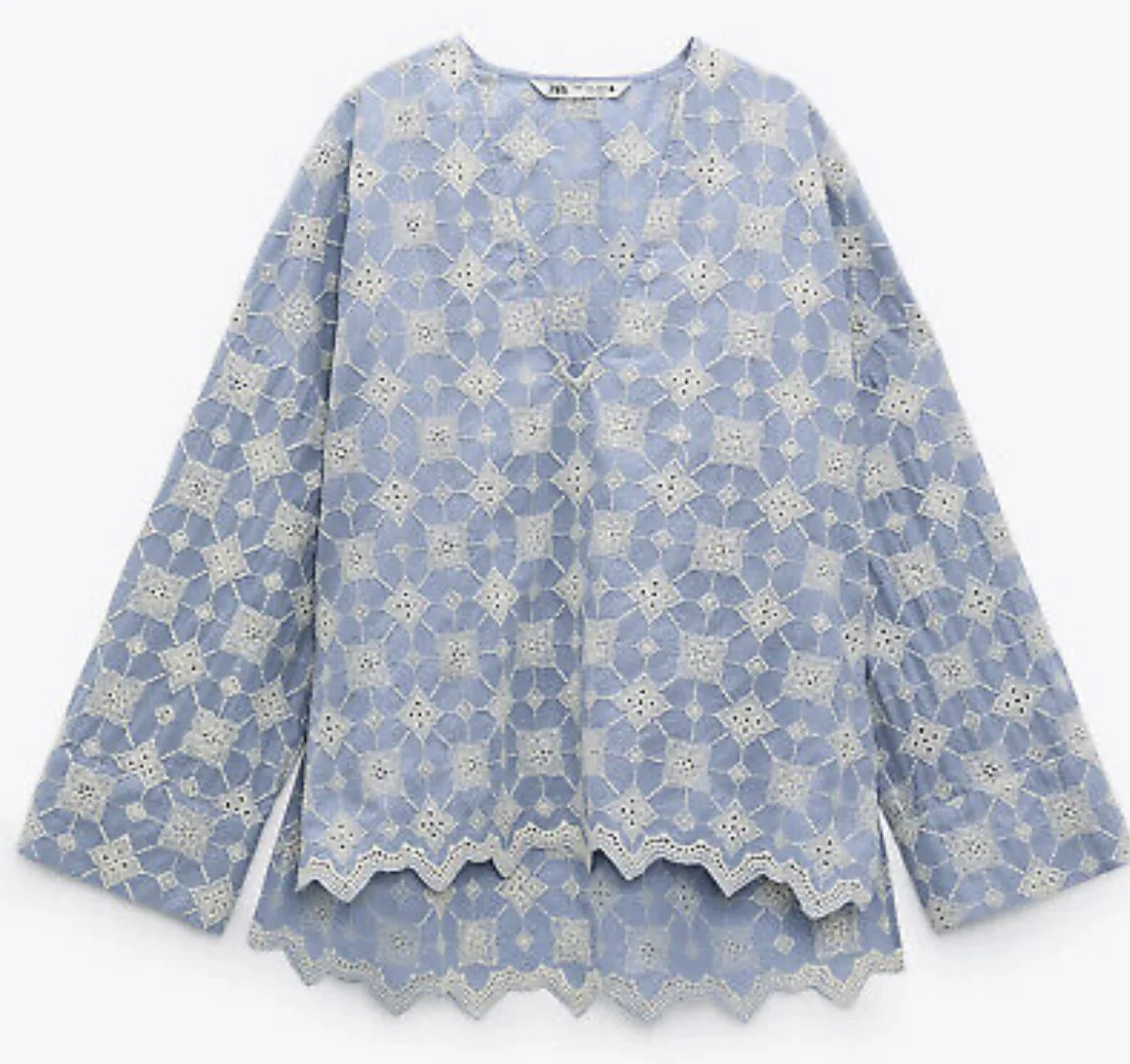 Zara V-neck Embroidered Blouse