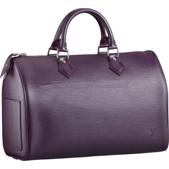 Louis Vuitton Speedy 30 Bagin Purple Epi Leather.jpg