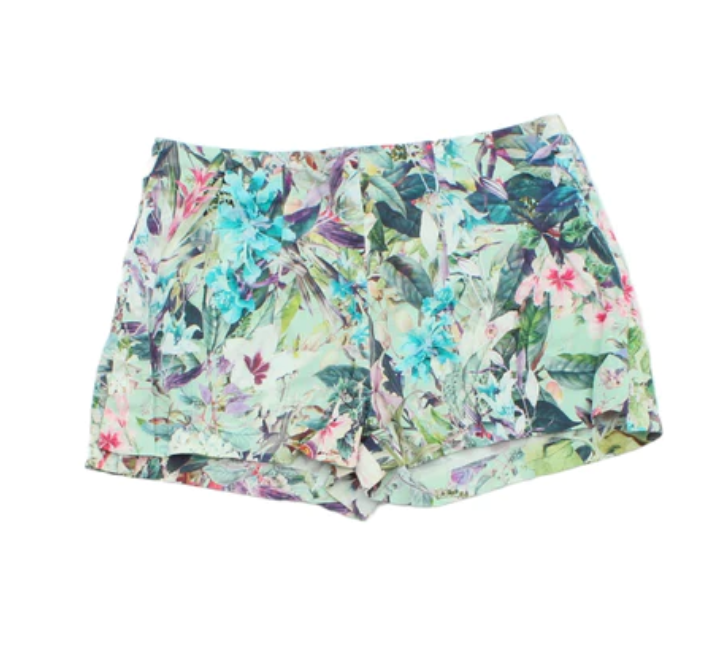 Zara Shorts.png