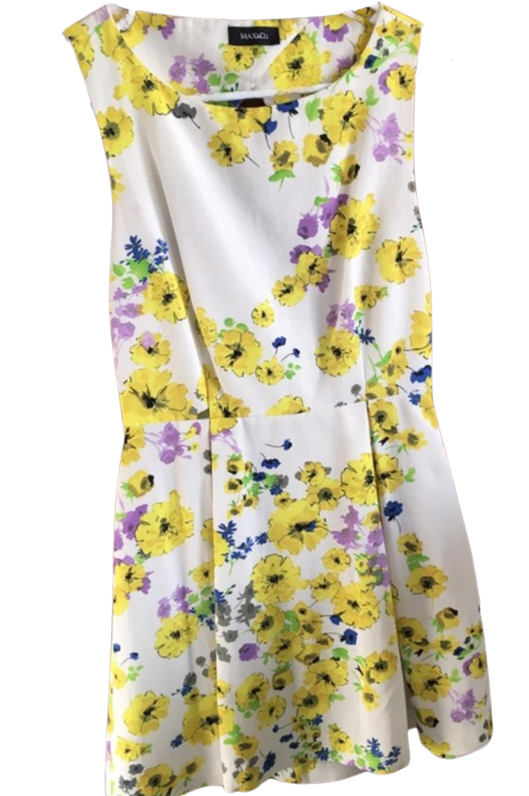 Max &amp; Co Floral Print Dress