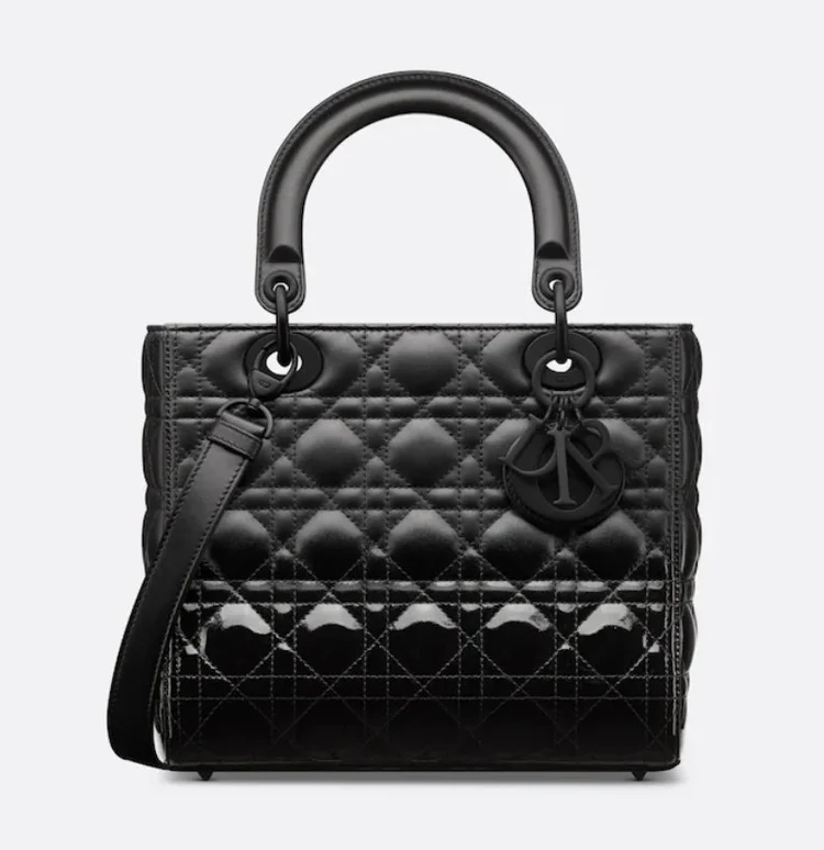 Christian Dior Lady Dior Medium Bag in Woven & Lizard — UFO No More