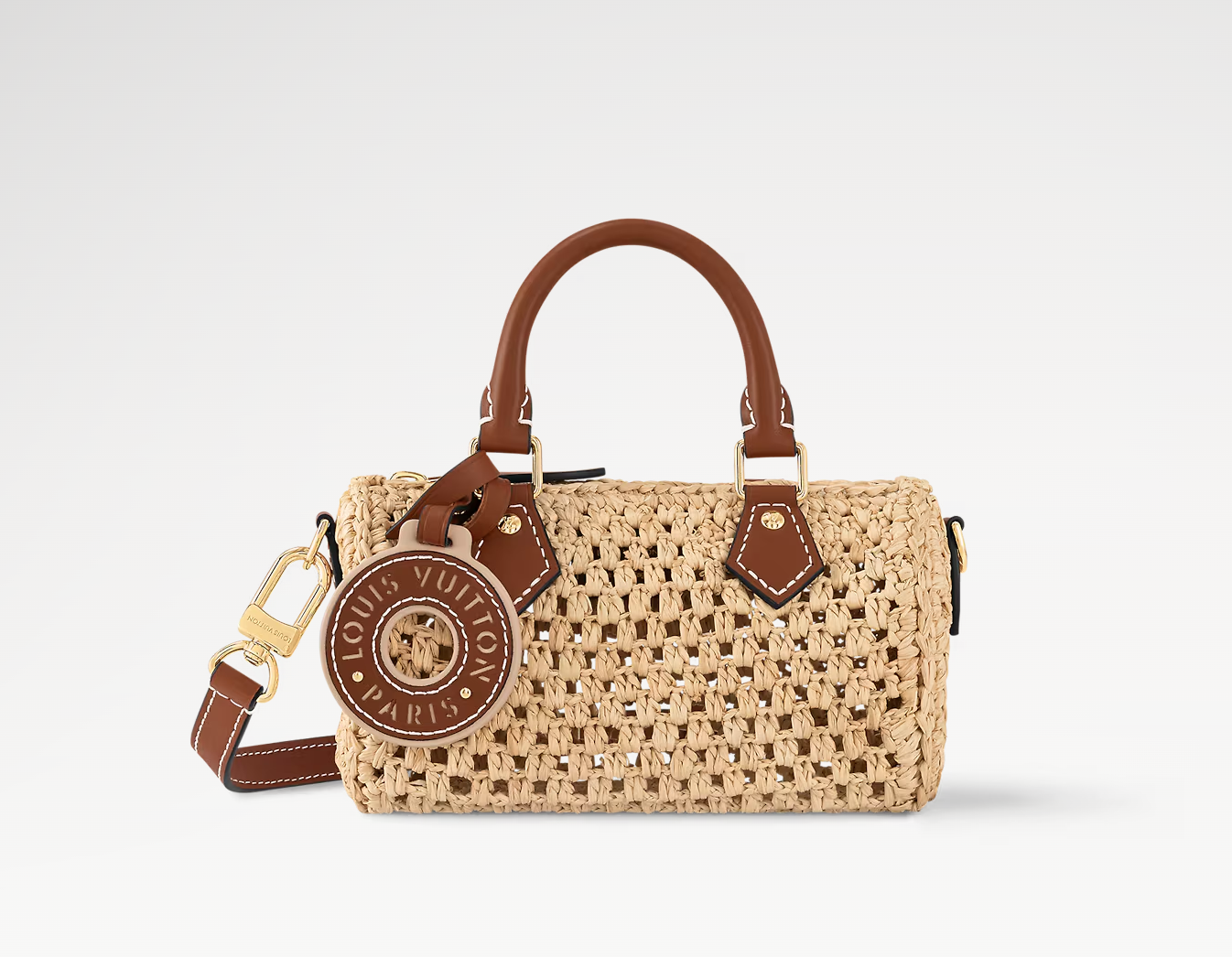 LV Bag.png