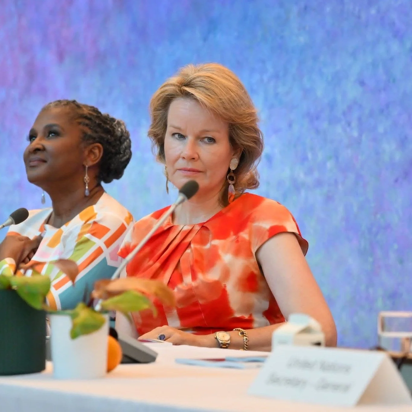 Queen Mathilde attends UN General Assembly - Day 1