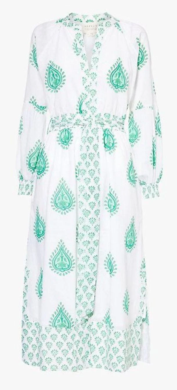 Aspiga Cara Block Print Dress in Wild Flower Buta Green  