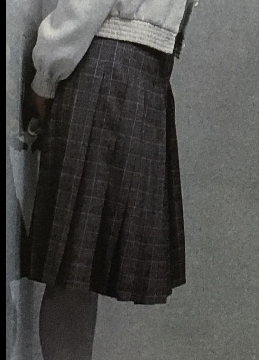 Pleated Checked Skirt.png