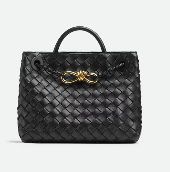 Bottega Veneta Andiamo Small Bag in Black