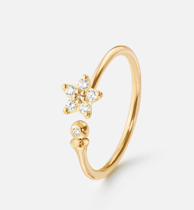 Ole Small Ring.png
