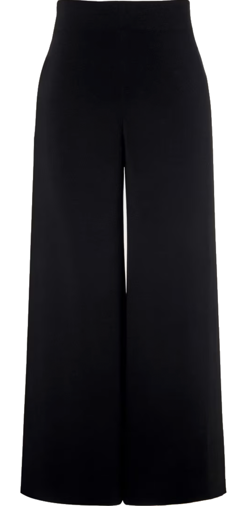 Sybilla High-Waist Wide-Leg Trousers
