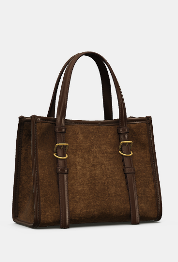 Zara Bag.png