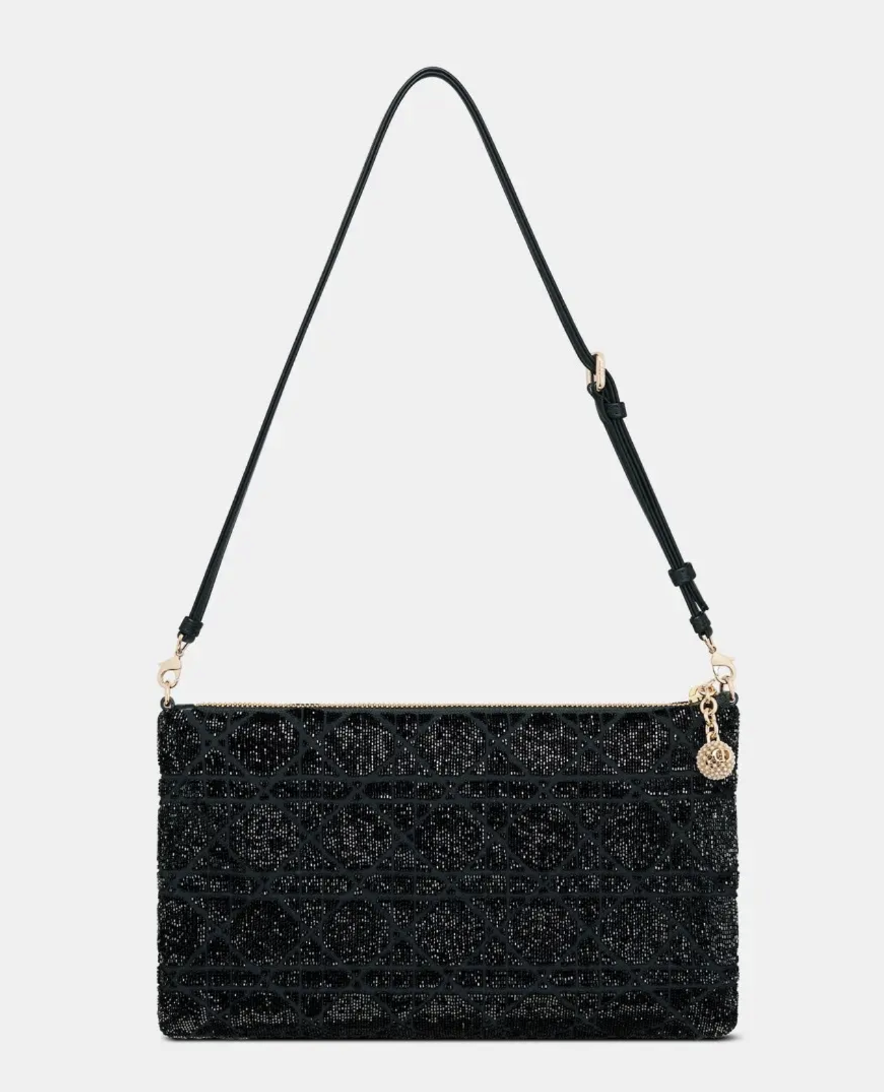 Dior Bag.png