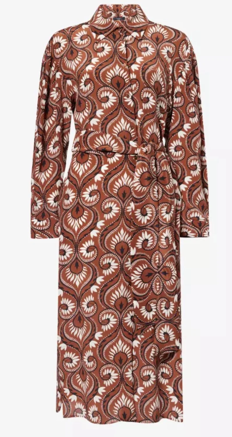 Max Mara Dolmen Printed Shirt Dress