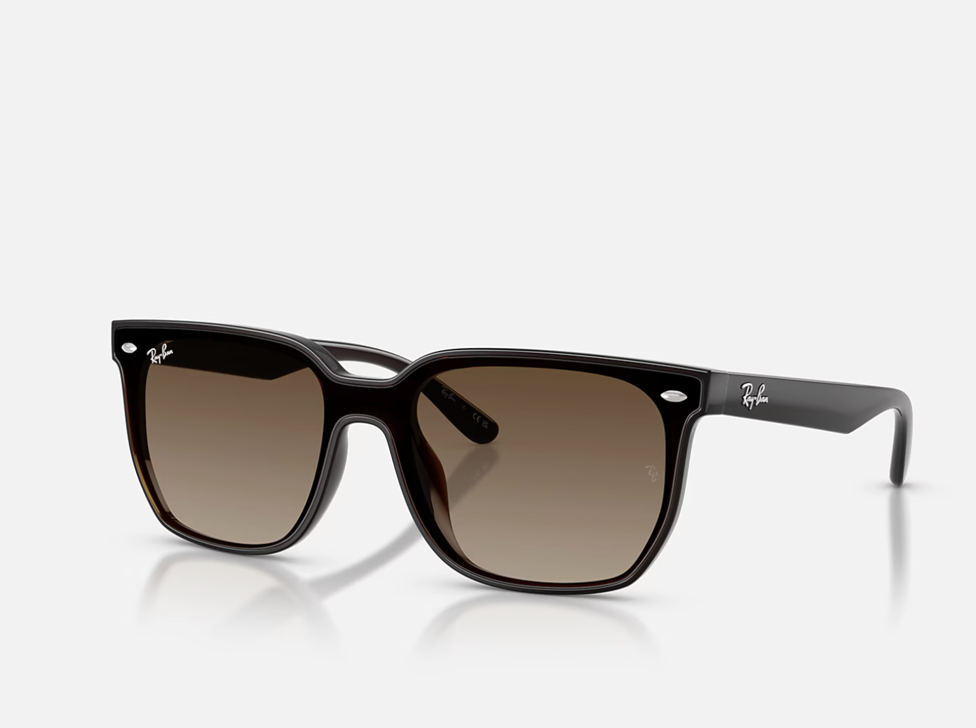 Ray-Ban RB4466D Sunglasses