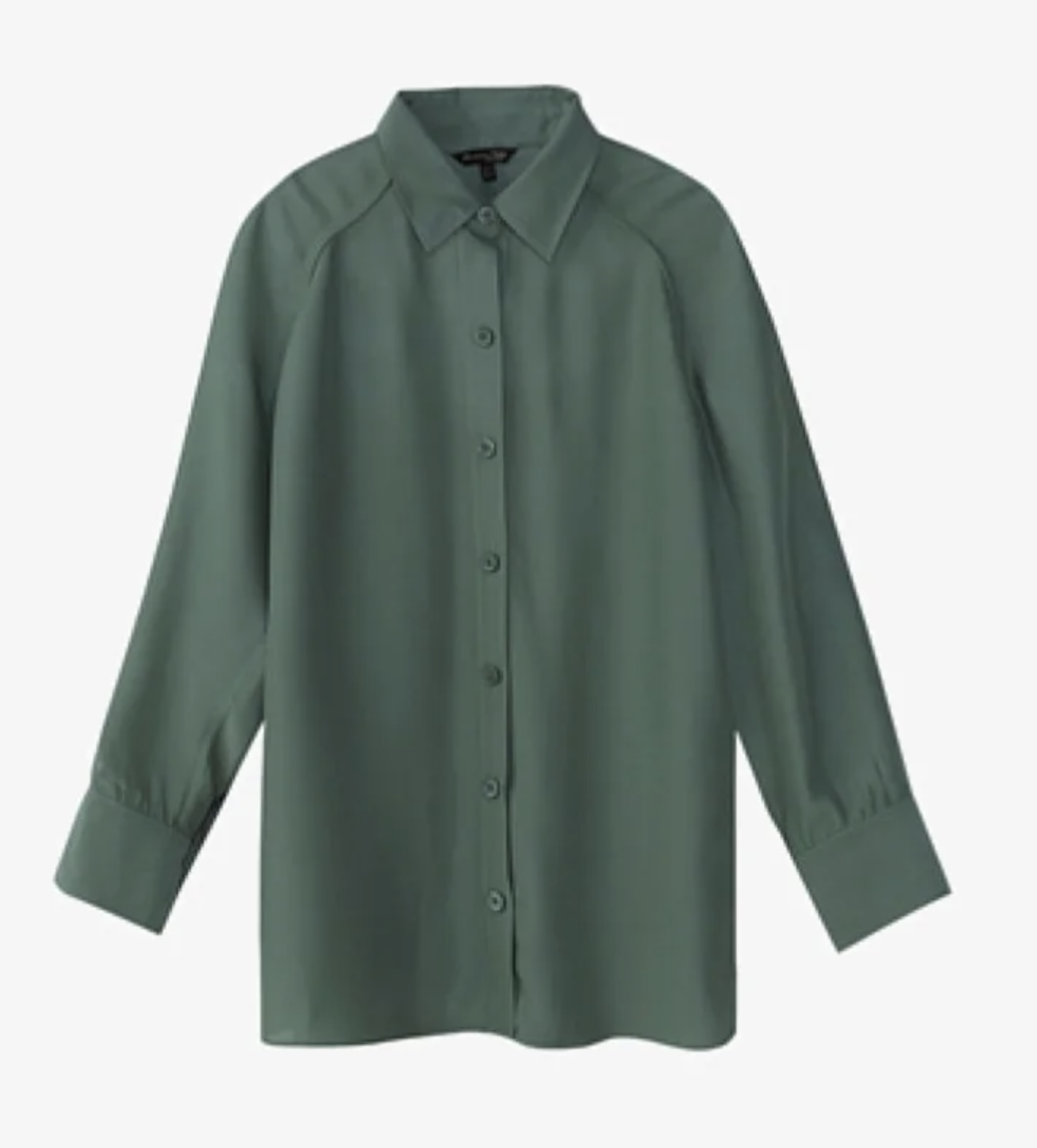 Massimo Dutti Button Down Shirt